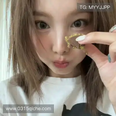梅鹃仪